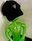 THE Flex-Fit Hat